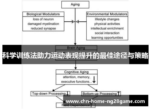 科学训练法助力运动表现提升的最佳途径与策略