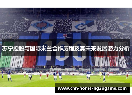 苏宁控股与国际米兰合作历程及其未来发展潜力分析
