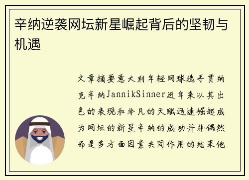 辛纳逆袭网坛新星崛起背后的坚韧与机遇