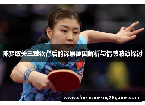 陈梦取关王楚钦背后的深层原因解析与情感波动探讨