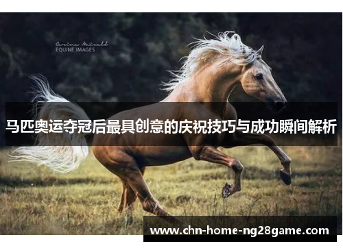 马匹奥运夺冠后最具创意的庆祝技巧与成功瞬间解析 马匹奥运夺冠后最具创意的庆祝技巧与成功瞬间解析