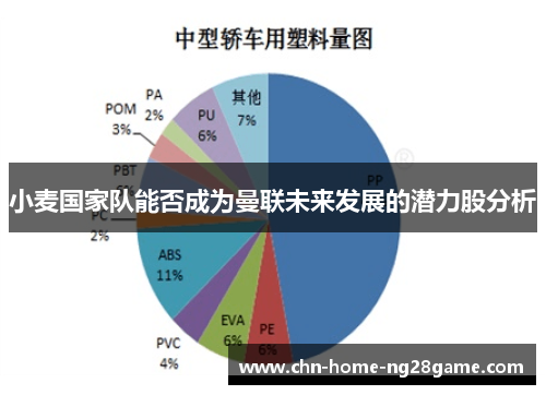 小麦国家队能否成为曼联未来发展的潜力股分析