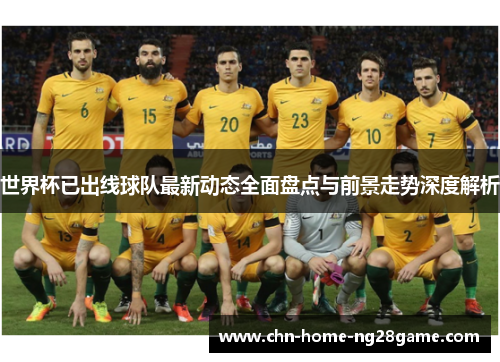 世界杯已出线球队最新动态全面盘点与前景走势深度解析