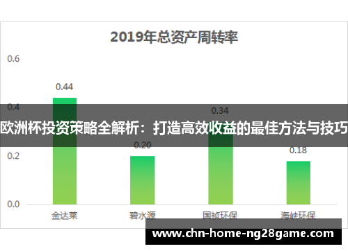 欧洲杯投资策略全解析：打造高效收益的最佳方法与技巧