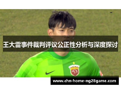 王大雷事件裁判评议公正性分析与深度探讨