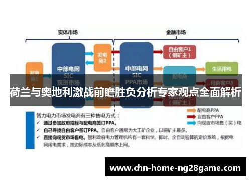 荷兰与奥地利激战前瞻胜负分析专家观点全面解析