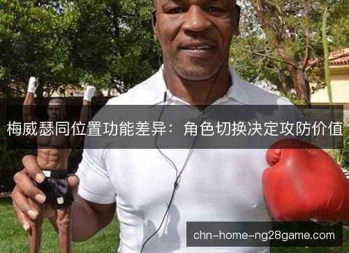 梅威瑟同位置功能差异:角色切换决定攻防价值 梅威瑟同位置功能差异:角色切换决定攻防价值