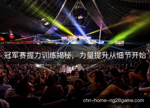 冠军赛握力训练揭秘，力量提升从细节开始