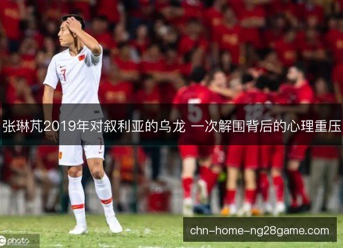 张琳芃2019年对叙利亚的乌龙 一次解围背后的心理重压
